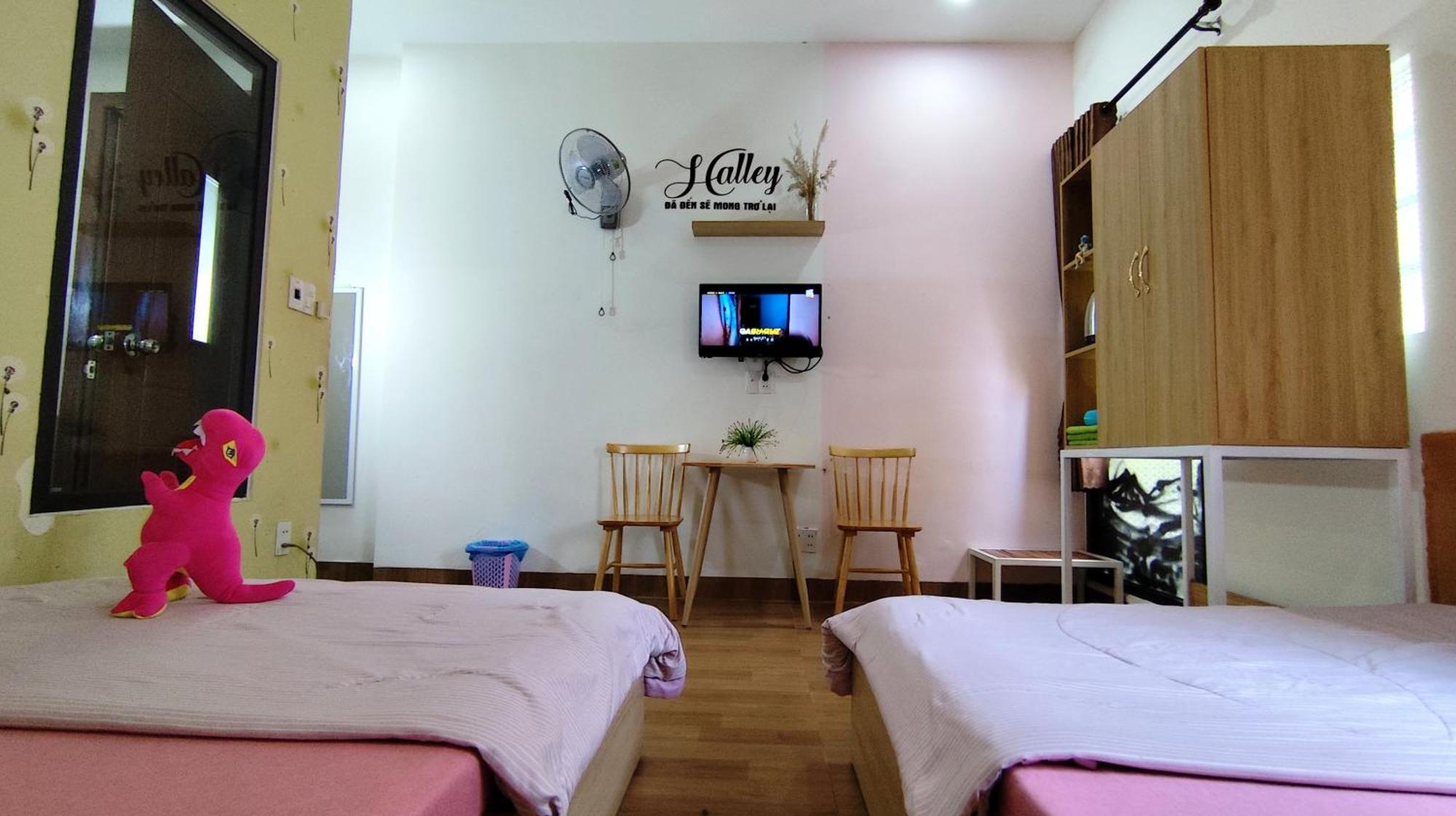 Halley * Da Nang